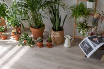 Vinilam Click 3.7мм 20468 Дуб Ален фото 4 | FLOORDEALER